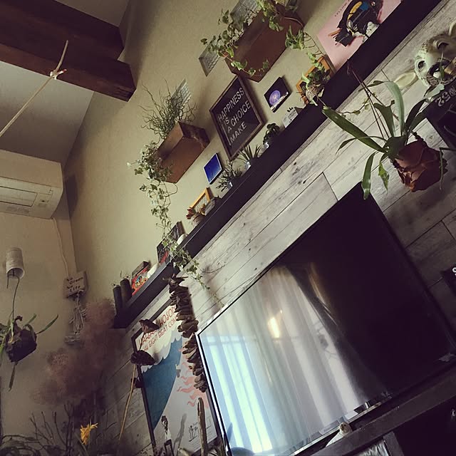 tataさんの実例写真