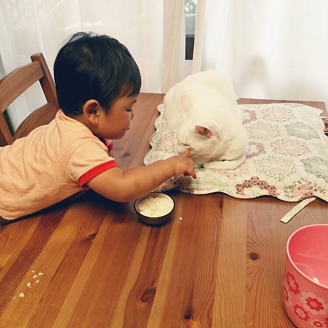 実例写真