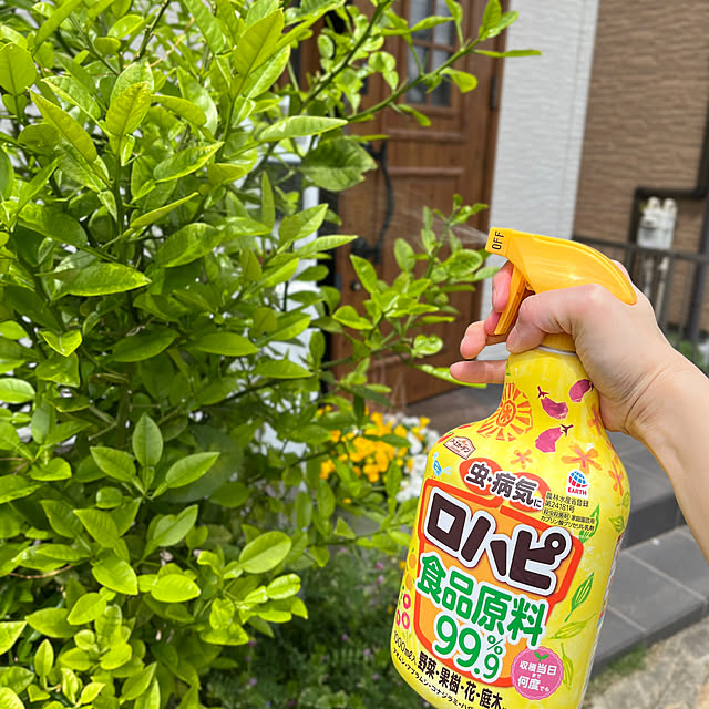 siosai10さんの実例写真