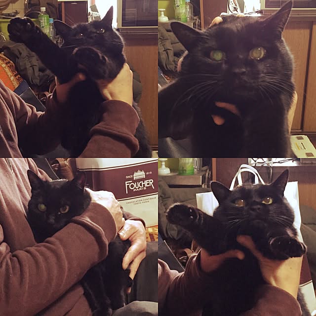 masaさんの実例写真