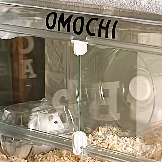 ChaMiさんの実例写真