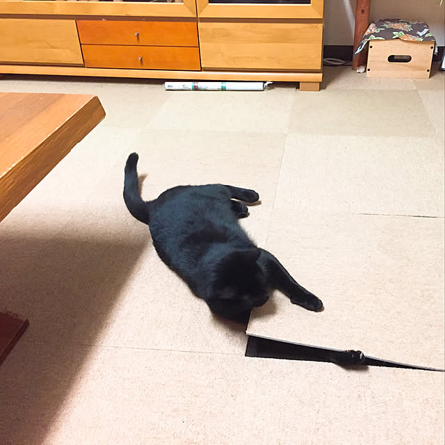 nanaさんの実例写真