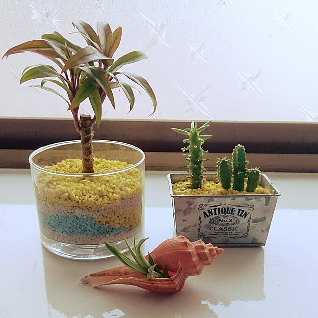 pipiさんの実例写真