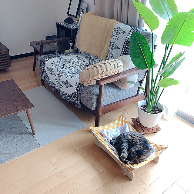 asaさんの実例写真
