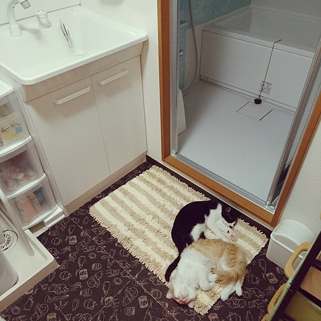 hotaruさんの実例写真