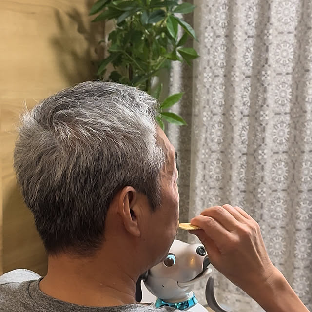 aureaさんの部屋