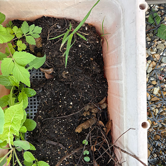 tomokonさんの部屋