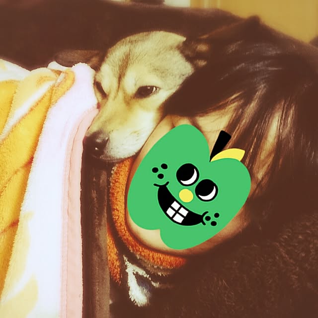 andさんの実例写真