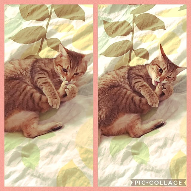1633さんの実例写真