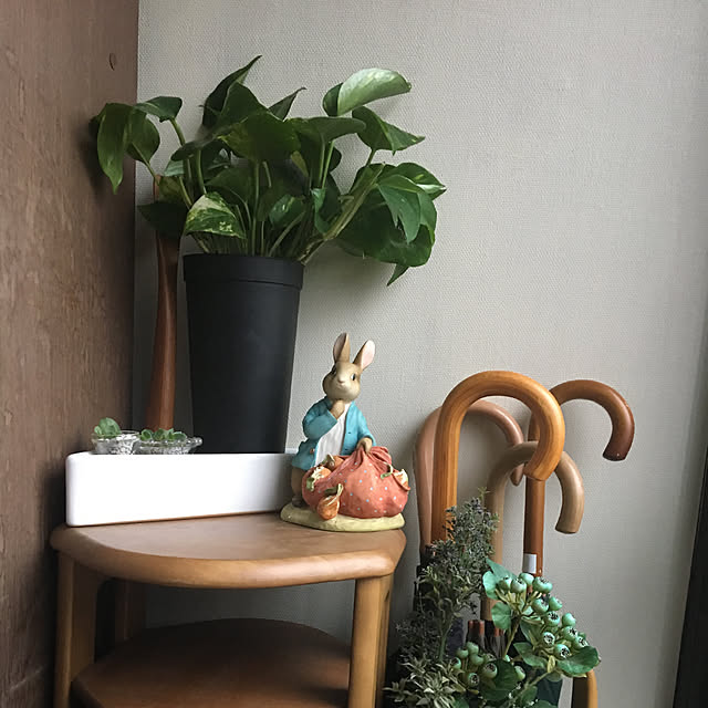 観葉植物/玄関/入り口のインテリア実例 - 2019-07-13 23:04:23