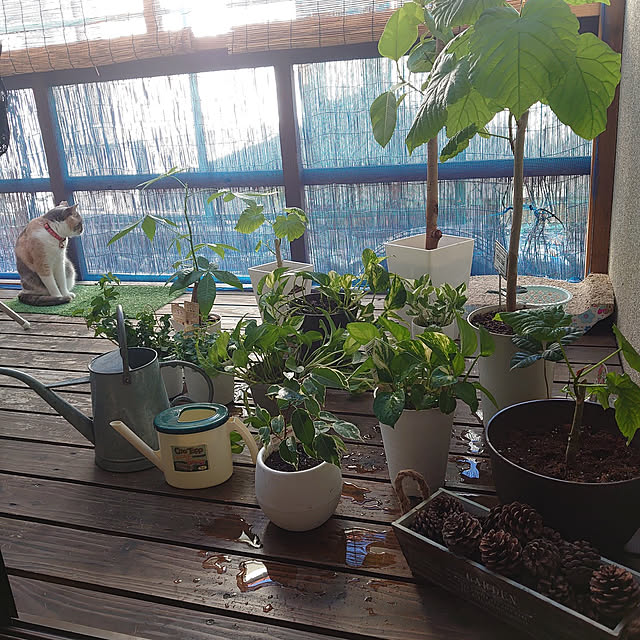 fukuさんの実例写真