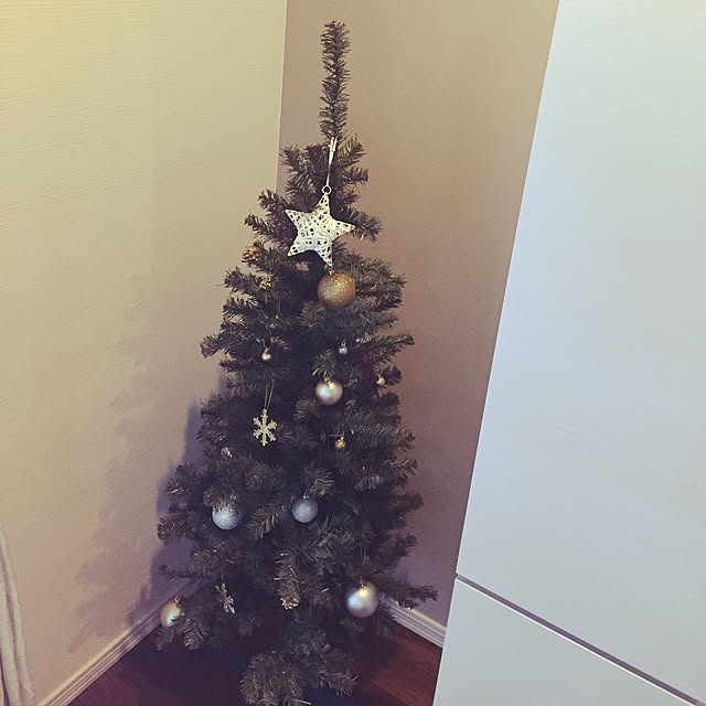 USAGIさんの実例写真