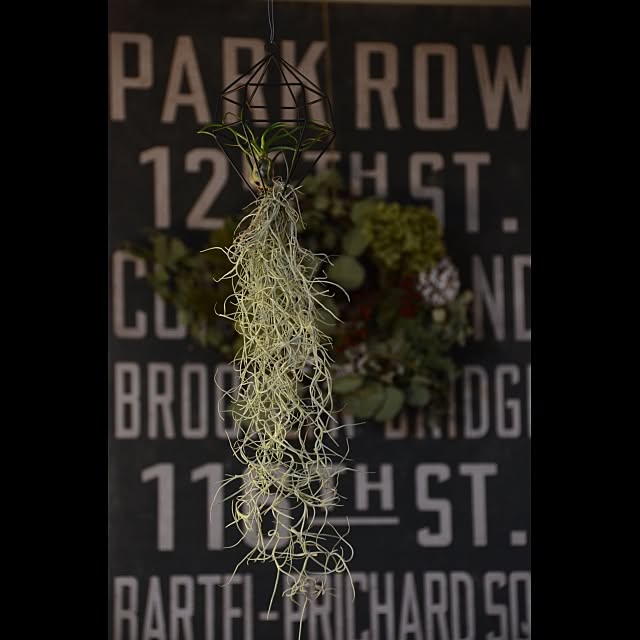 Hiroshiさんの実例写真