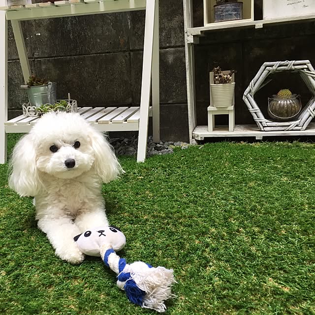 sei.hugさんの実例写真