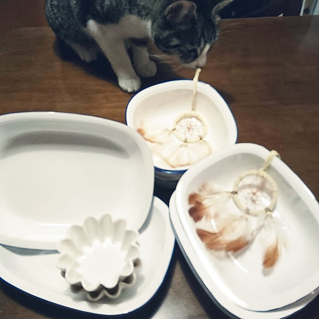 Reiさんの実例写真
