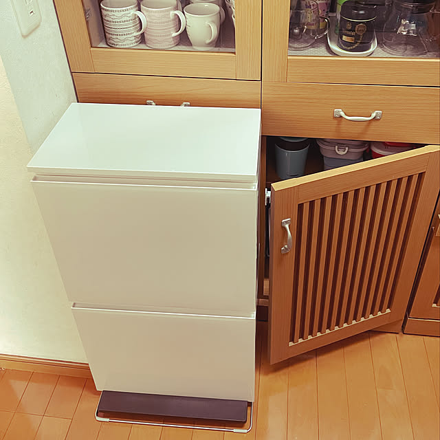 kawauso15のアスベル-分別ダストボックス ペダル2段ワイド 40Lの家具・インテリア写真