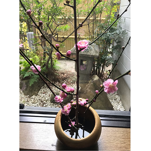 roseさんの実例写真