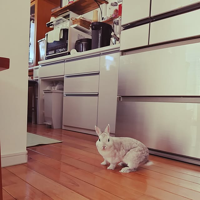 mutsuさんの部屋