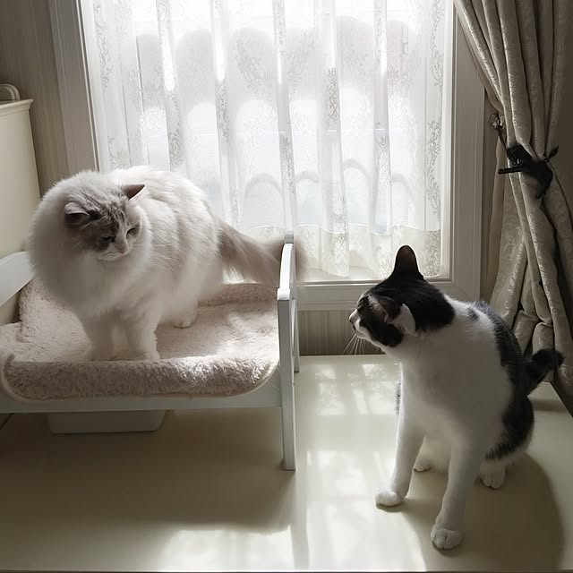 yuchiさんの実例写真