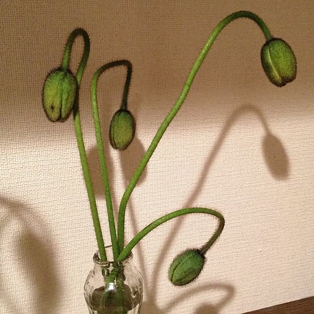 Yukiさんの実例写真