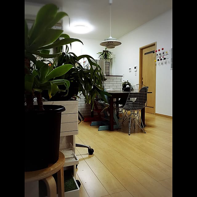 fukatoko55さんの実例写真