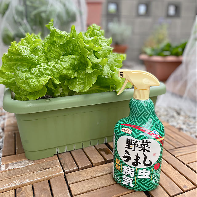 asuさんの部屋