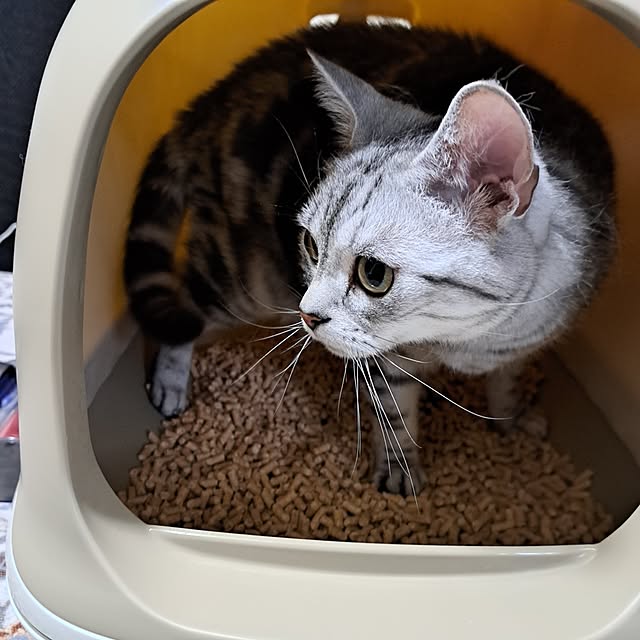 kumingさんの実例写真