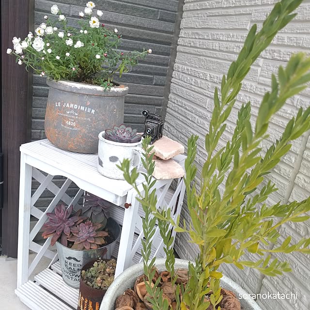 soranokatachiさんの実例写真