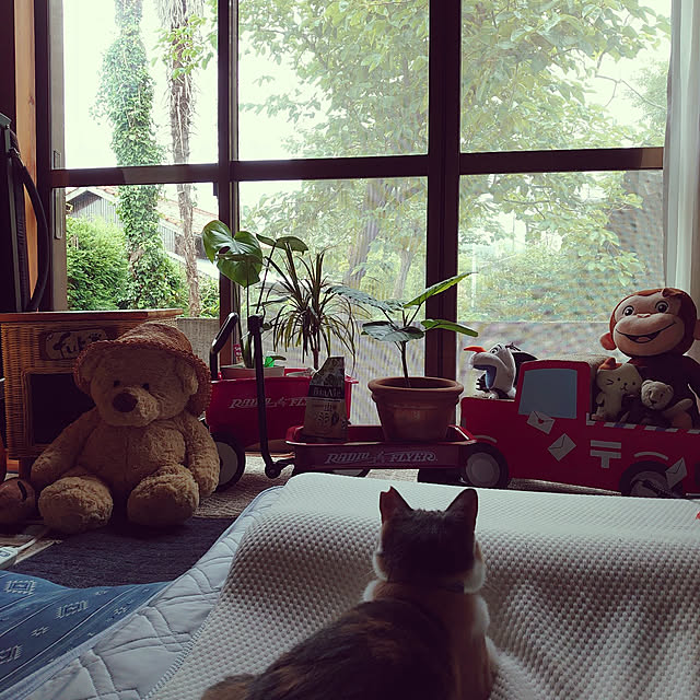fukuさんの実例写真