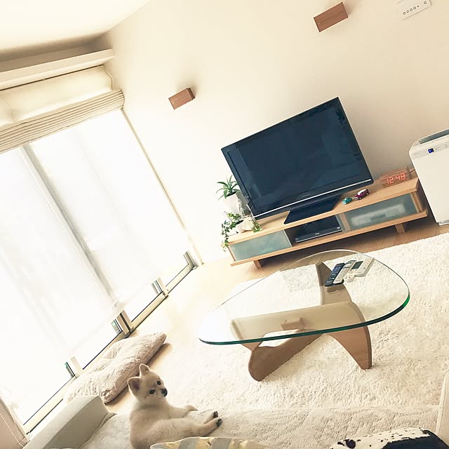 kinakoさんの実例写真
