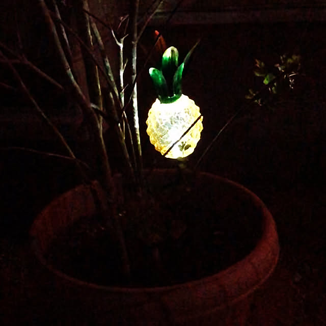 churipさんの実例写真