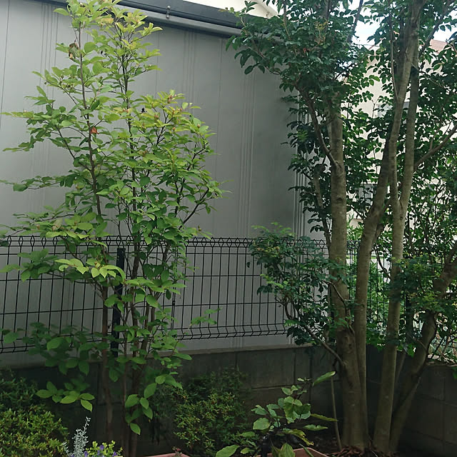 yumicさんの実例写真