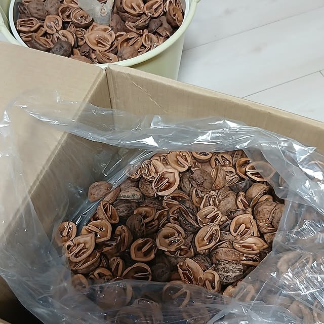 tomomiさんの部屋