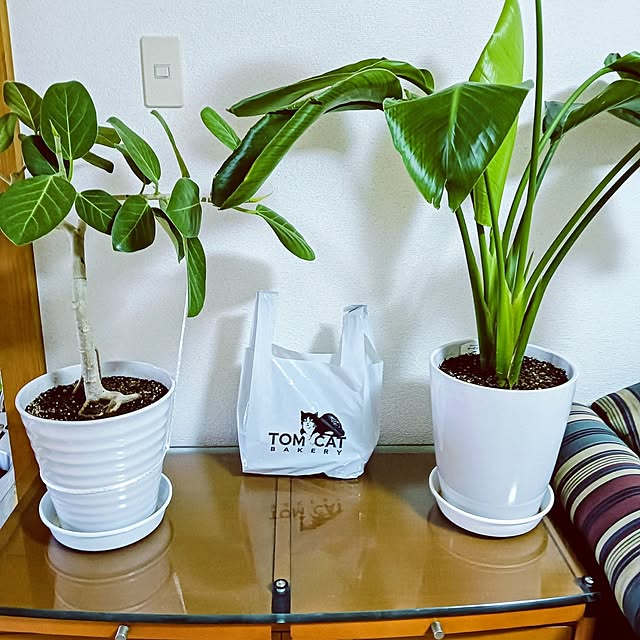 hanachanさんの部屋