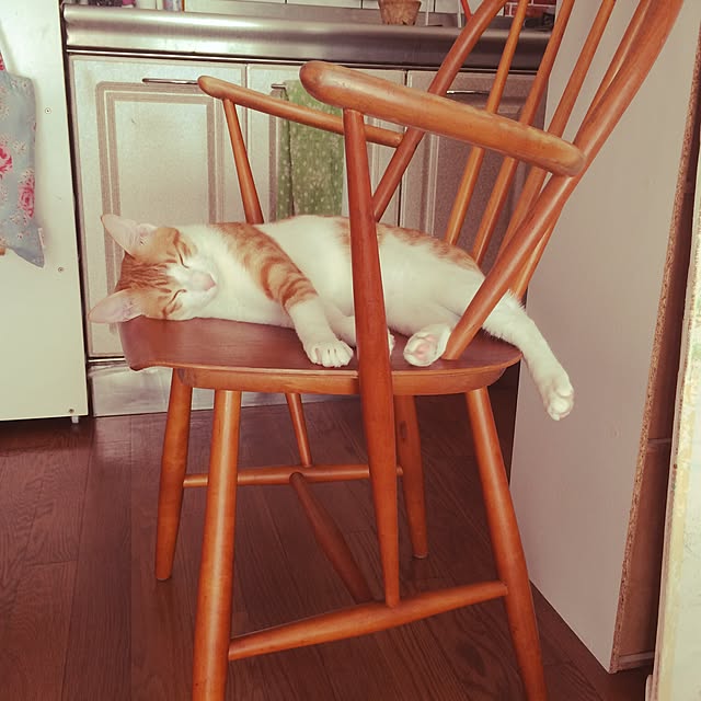 ennaさんの実例写真