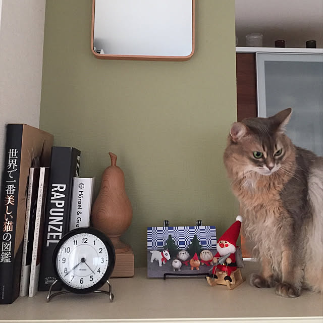 shihoさんの実例写真