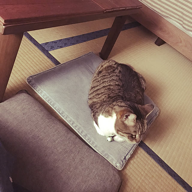 Yukakoさんの実例写真