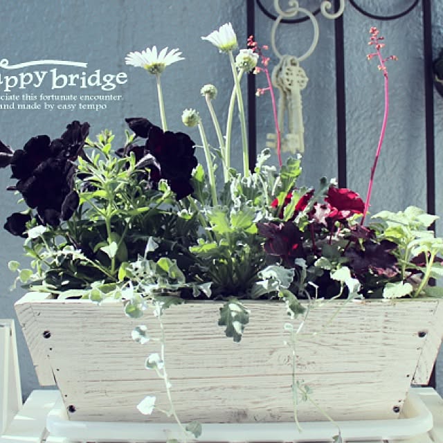 happy_bridgeさんの実例写真