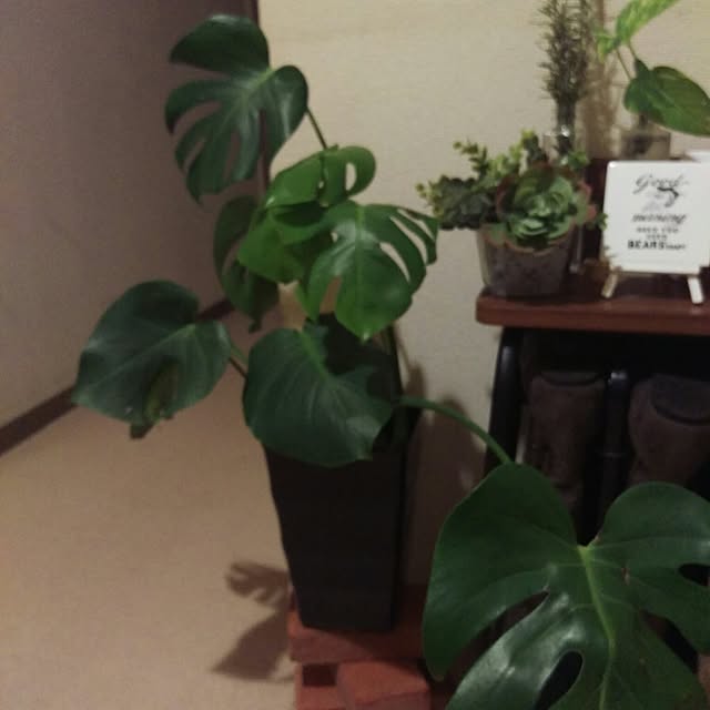 実例写真