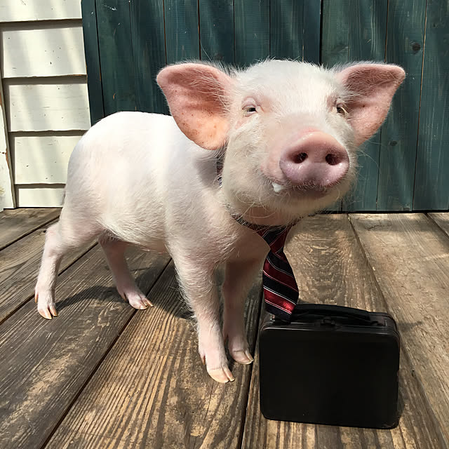 UGさんの実例写真