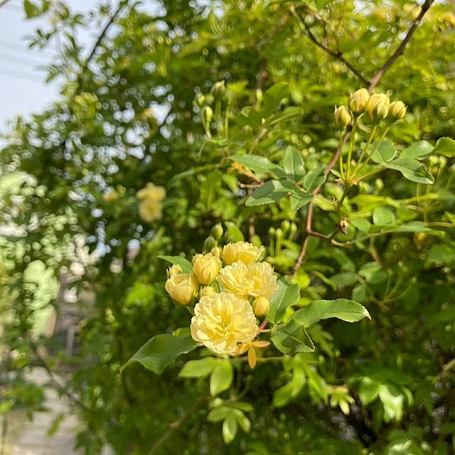 min_nimさんの実例写真