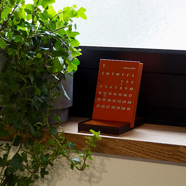 Sakkinさんの部屋