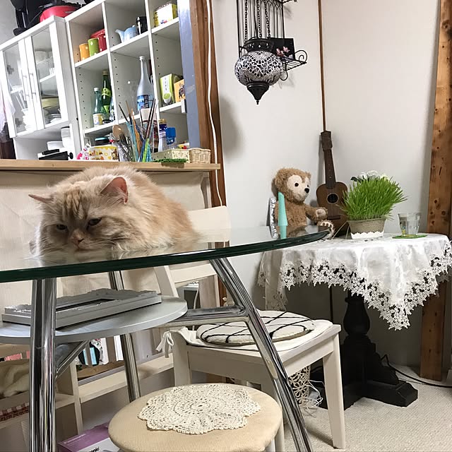 roseさんの実例写真