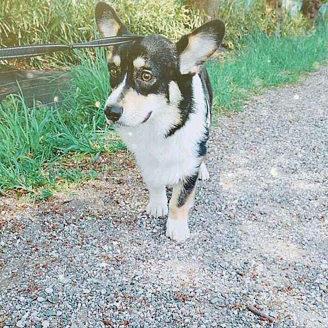 Ruiさんの実例写真