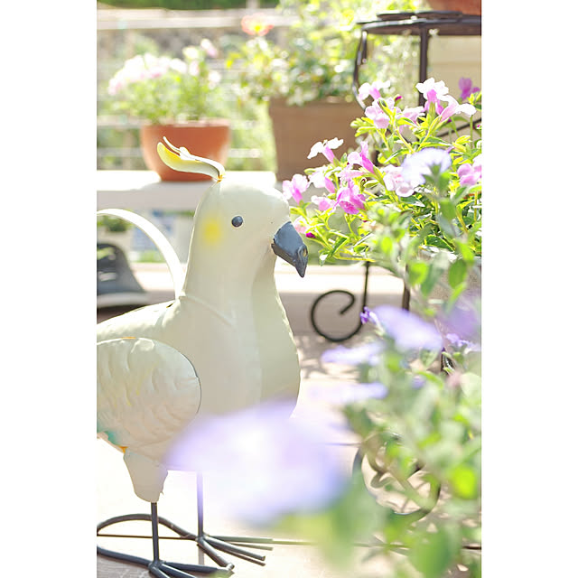 Shooowkoさんの実例写真