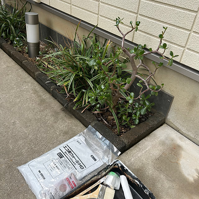 Momooさんの実例写真