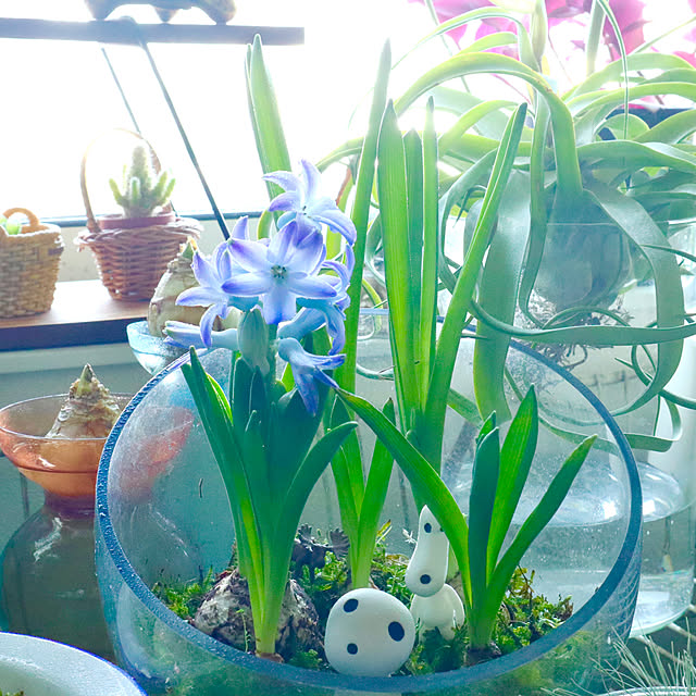 rukakoさんの部屋