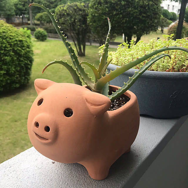 ponpon67さんの実例写真
