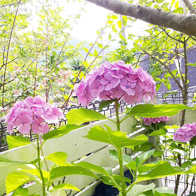min_nimさんの実例写真