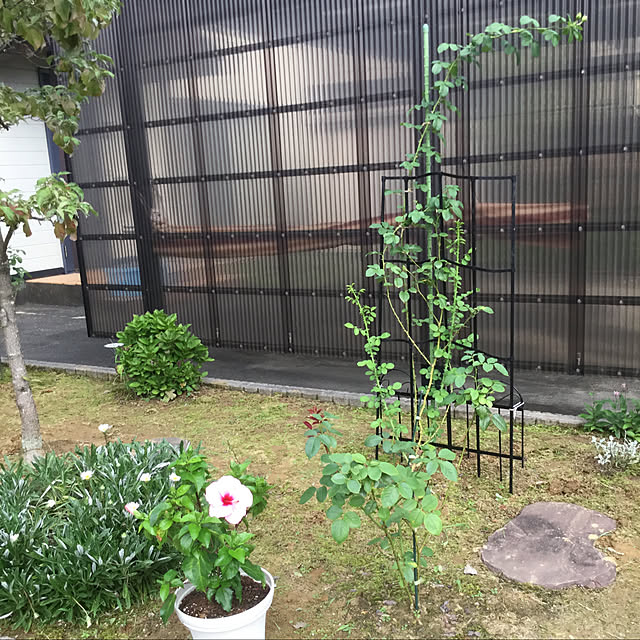 kakoさんの実例写真